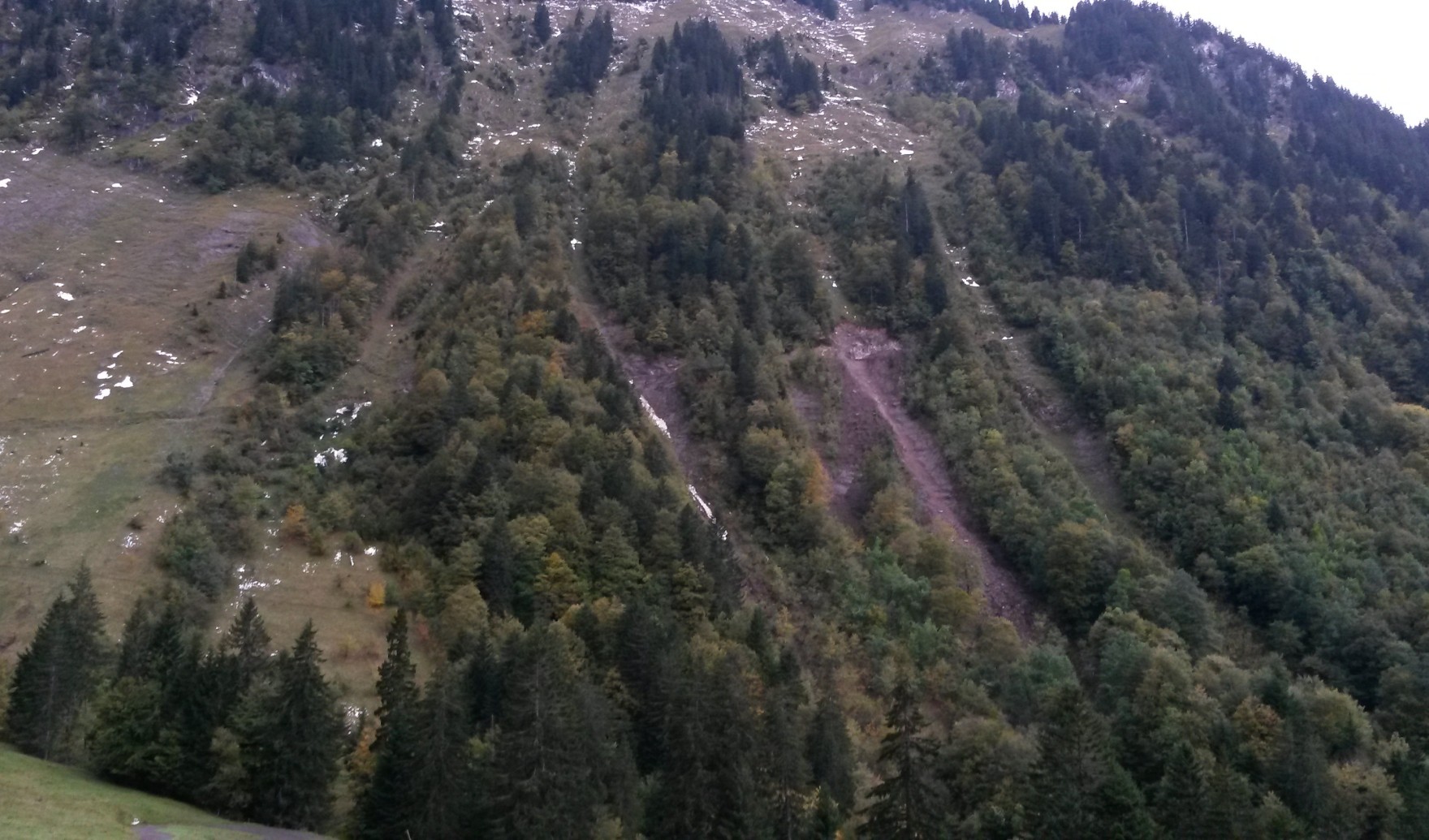 20131015_082352.jpg